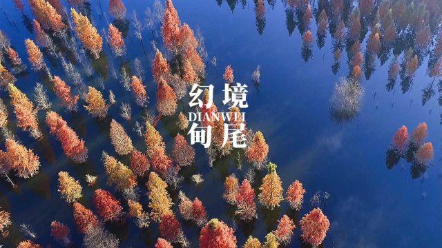 3D滚动球