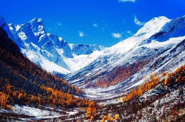 能不能简单易懂地讲述一下八王之乱-天涯问答平台