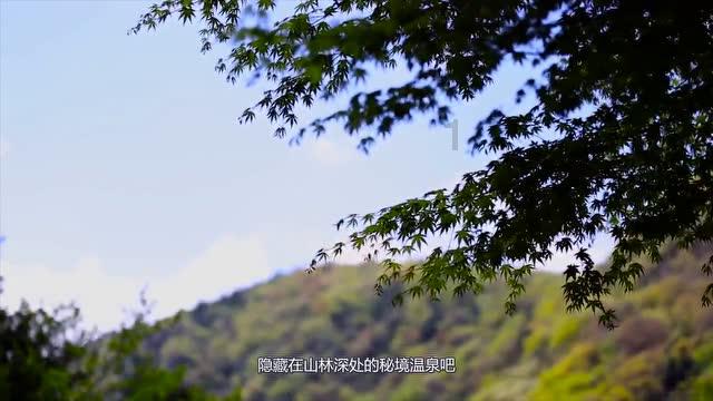 花真金白银总结出的6款大牌精华,有预算的小姐姐、富婆必入