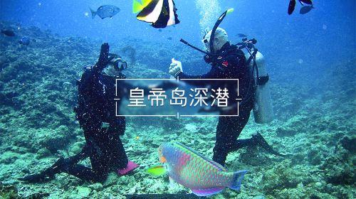 燃烧吧大脑装瓶子游戏
