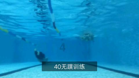 渡仙引
