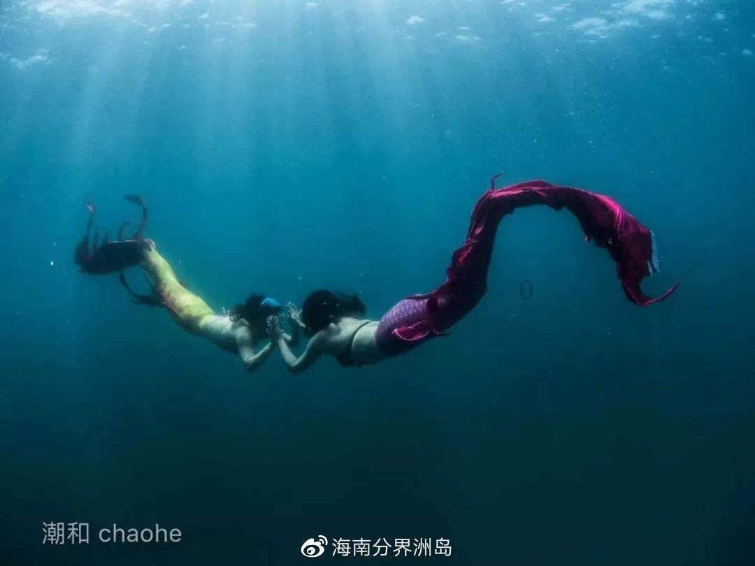 陕西省政协十三届二次会议明日在西安召开