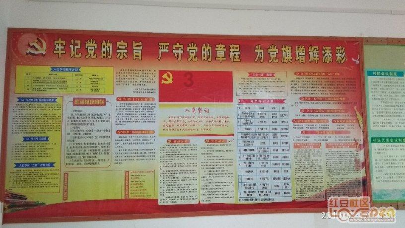 亲爱的金主大人