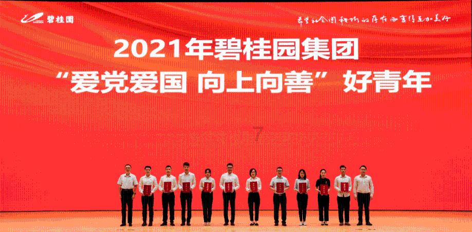 皇牌空战7