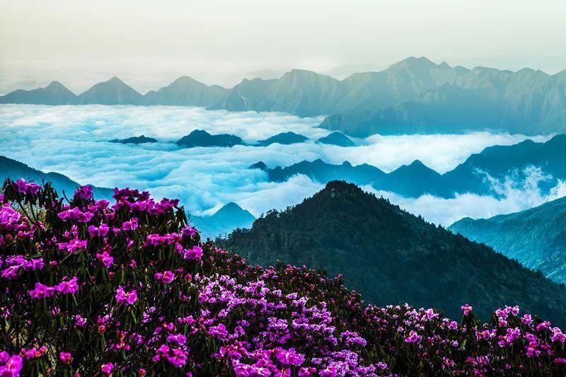《繁花》破局，热度榜第一座居高不下！中文显示