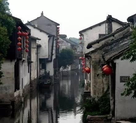 动物帮帮忙保卫家园