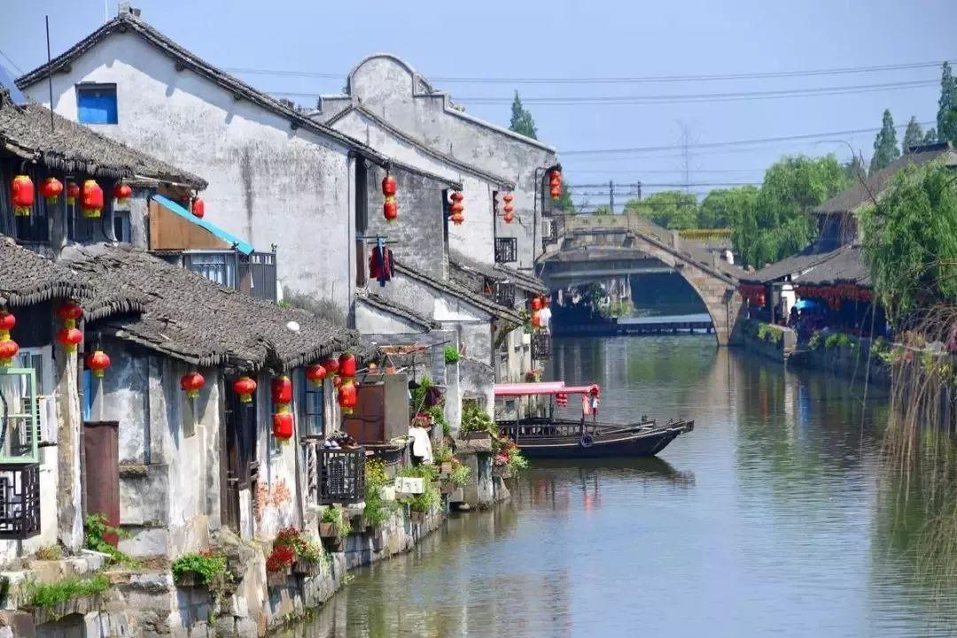 如何保持家庭中的绿化环境？游戏画面