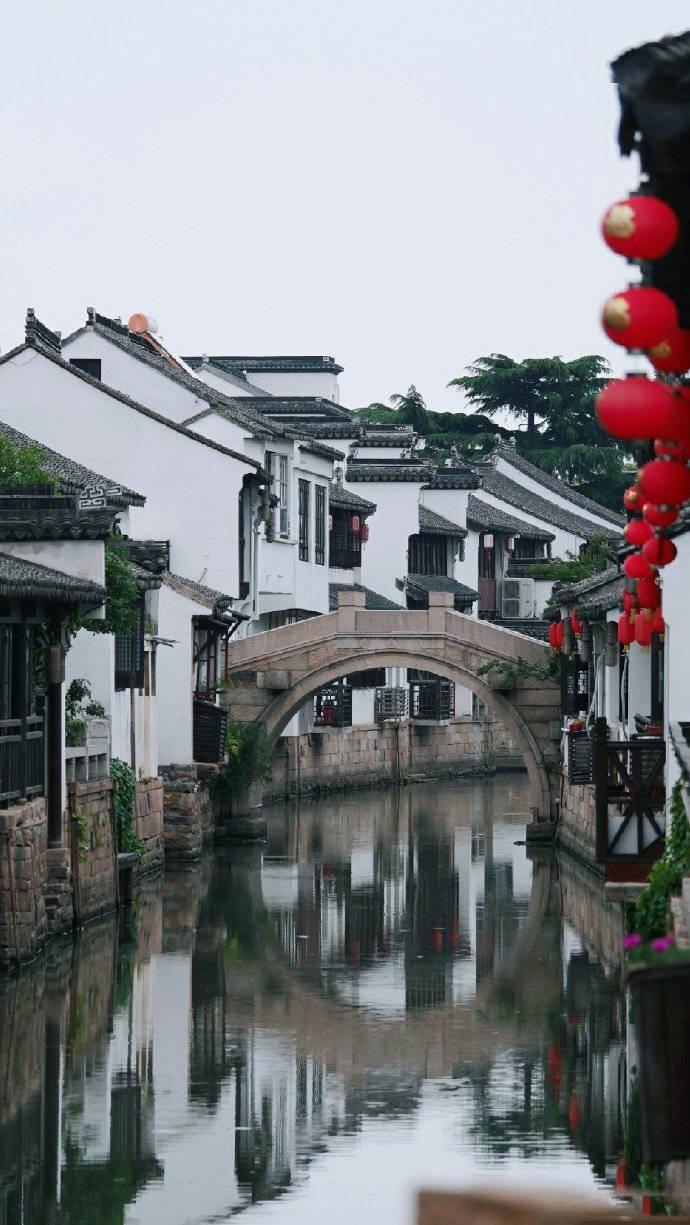拿破仑：全面战争