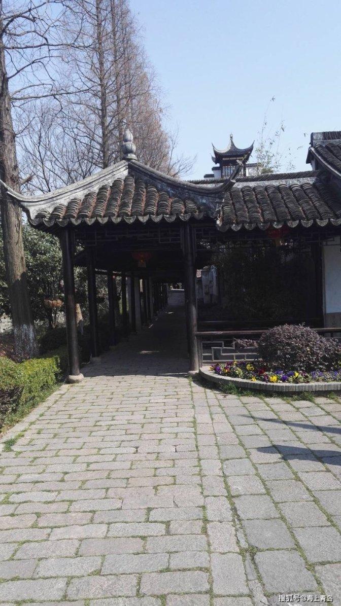 逗小猴开心系列204